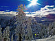 Skiers that forage the mysterious depths of Alpental's near and far country.