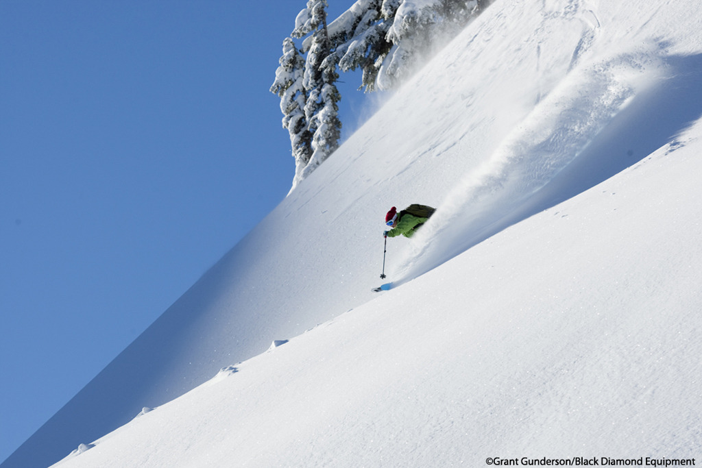Angel Collinson Skis Powder