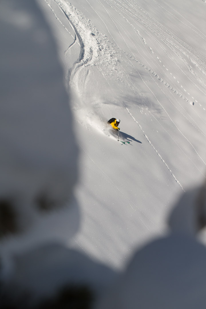 Brody Levin skis Alta by Jim Harris