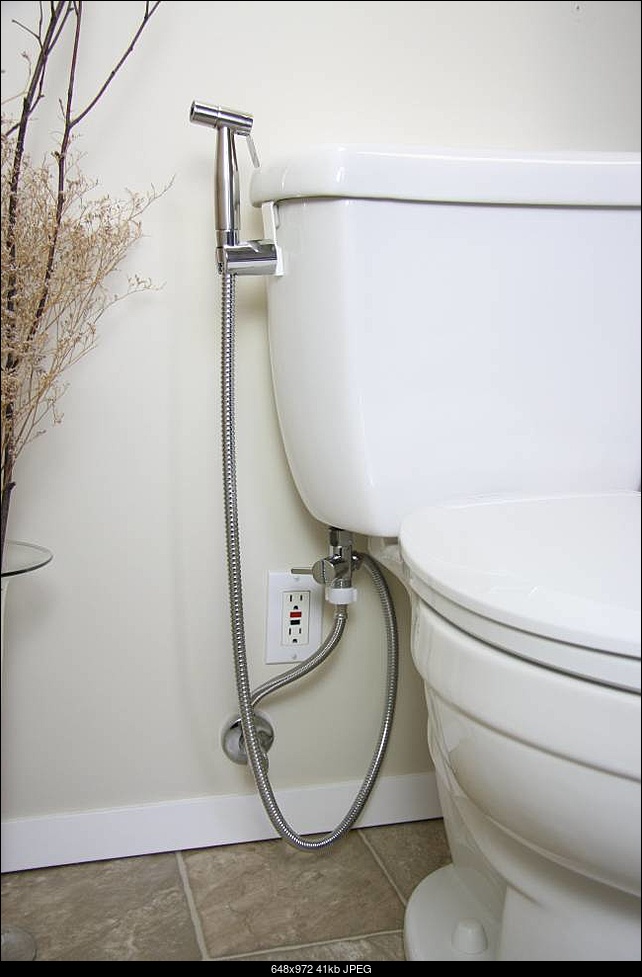 Click image for larger version. 

Name:	cleanspa_luxury_bidet_installed_shot.jpeg 
Views:	169 
Size:	40.7 KB 
ID:	320150