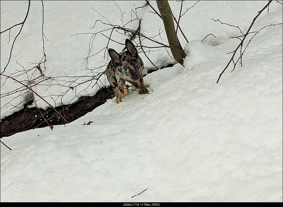 Click image for larger version. 

Name:	2 climbing up after creek investigation.jpg 
Views:	200 
Size:	1.15 MB 
ID:	357273