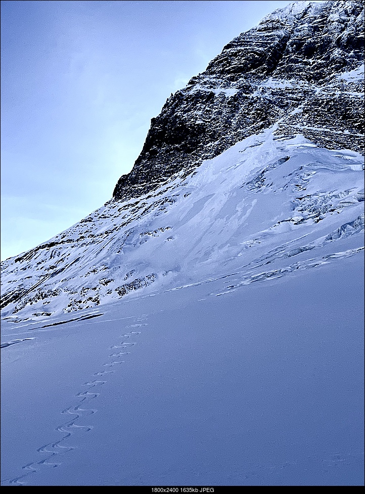 Teton Gravity Research Forums