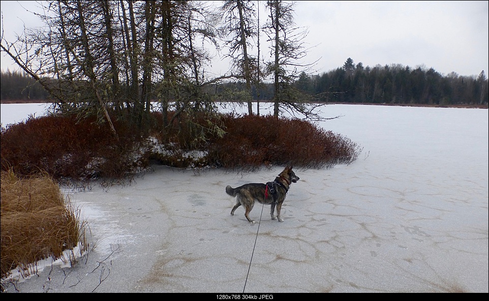 Click image for larger version. 

Name:	On the ice.jpg 
Views:	64 
Size:	303.8 KB 
ID:	394694