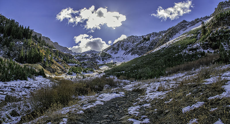 Name:  snowline.jpg
Views: 3790
Size:  134.6 KB