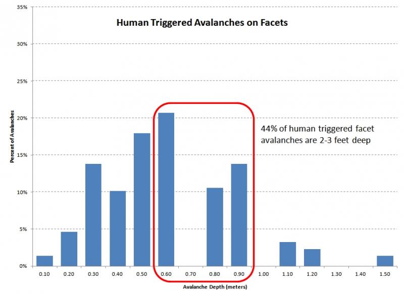 Name:  human-facet.jpg
Views: 1206
Size:  42.5 KB