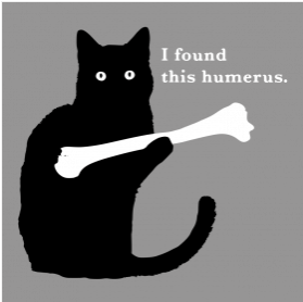 Name:  Humerus.png
Views: 823
Size:  23.9 KB