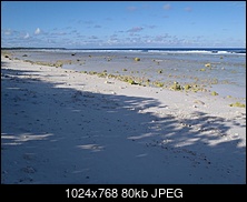 Click image for larger version. 

Name:	lowtide.JPG 
Views:	98 
Size:	79.7 KB 
ID:	158077