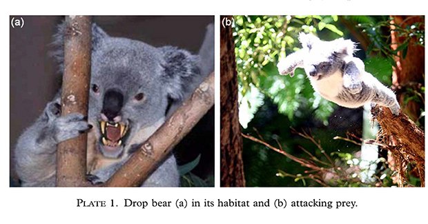 Name:  drop-bear-image.jpg
Views: 240
Size:  48.5 KB