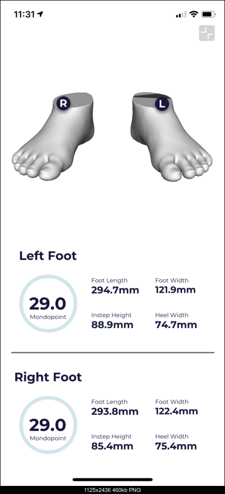 Click image for larger version. 

Name:	Foot Scan for Ski boots.png 
Views:	451 
Size:	460.1 KB 
ID:	357530