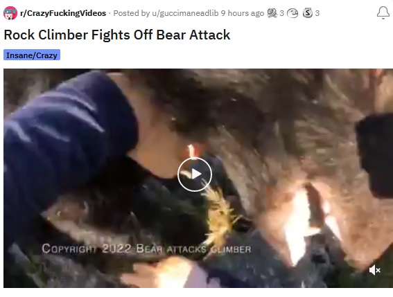 Name:  Bear Attacks Climber.jpg
Views: 396
Size:  57.4 KB