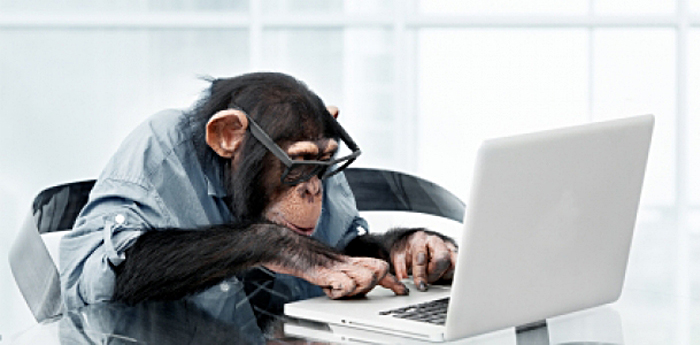 Name:  InfiniteMonkeyTheorem.jpg
Views: 3265
Size:  169.8 KB