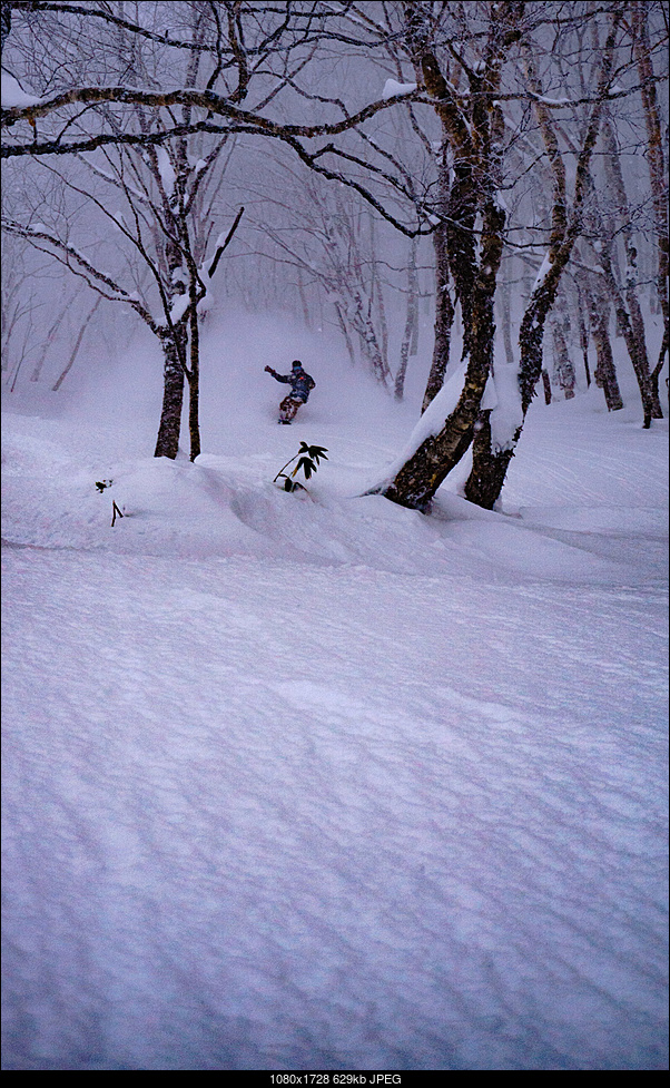 Click image for larger version. 

Name:	Japan Shred with Richard-13.jpg 
Views:	436 
Size:	629.0 KB 
ID:	264844