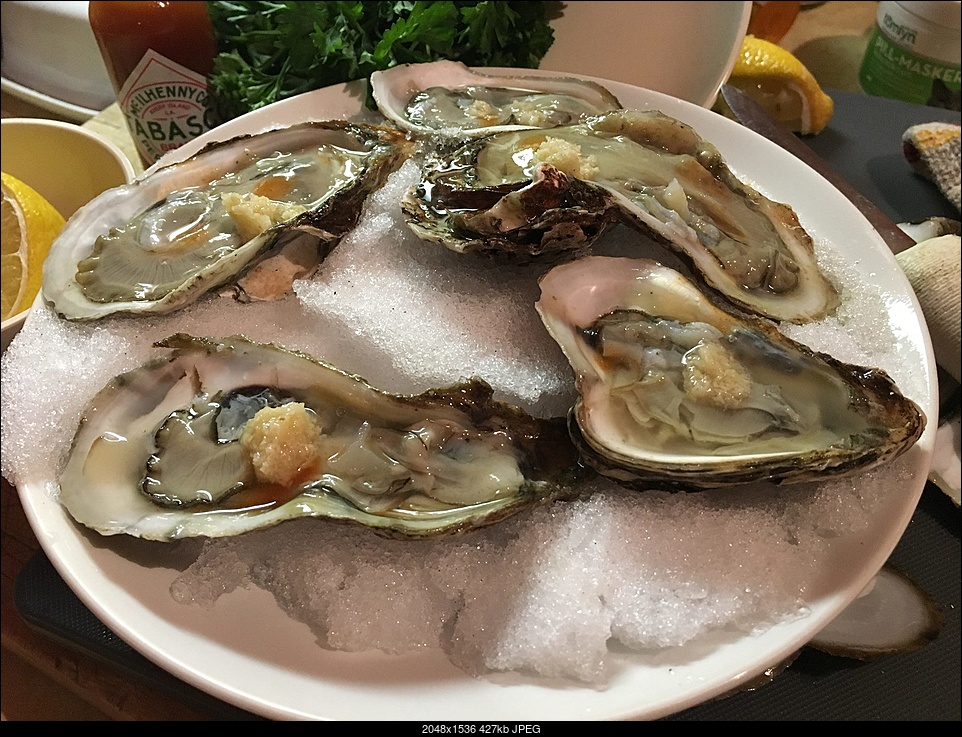 Click image for larger version. 

Name:	oysters.jpg 
Views:	97 
Size:	426.6 KB 
ID:	308469