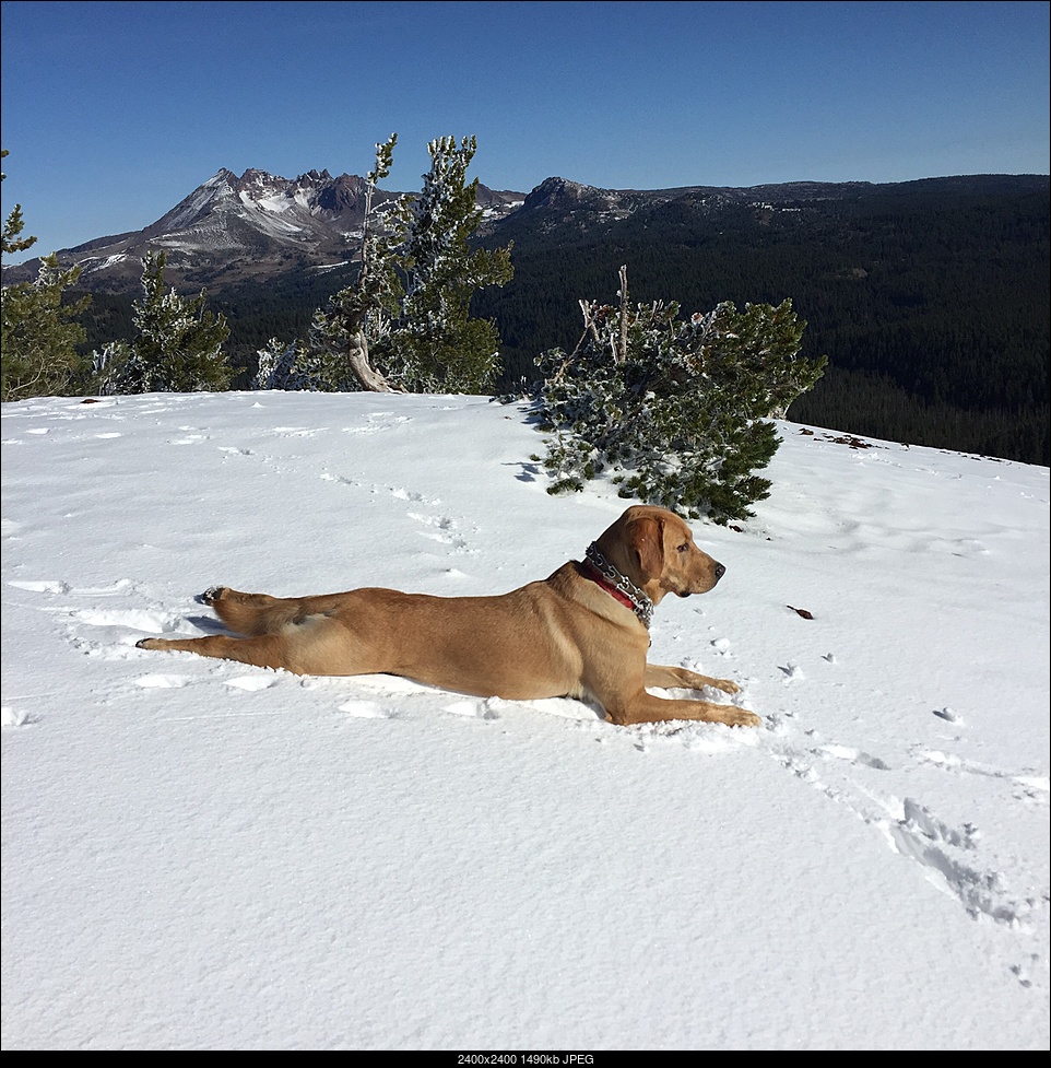 Click image for larger version. 

Name:	Bodie - Cinder Cone (2).jpg 
Views:	41 
Size:	1.46 MB 
ID:	317787