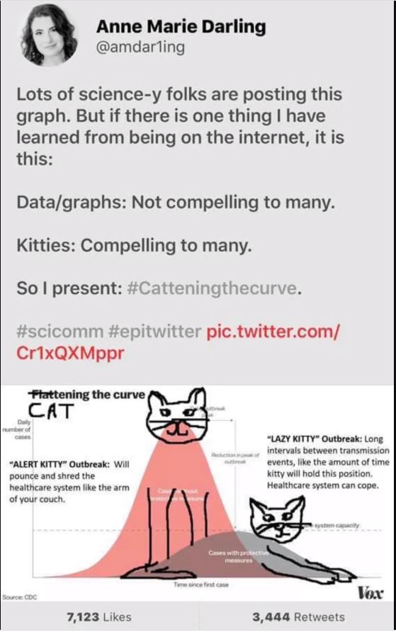 Name:  cat the curve.JPG
Views: 398
Size:  70.0 KB