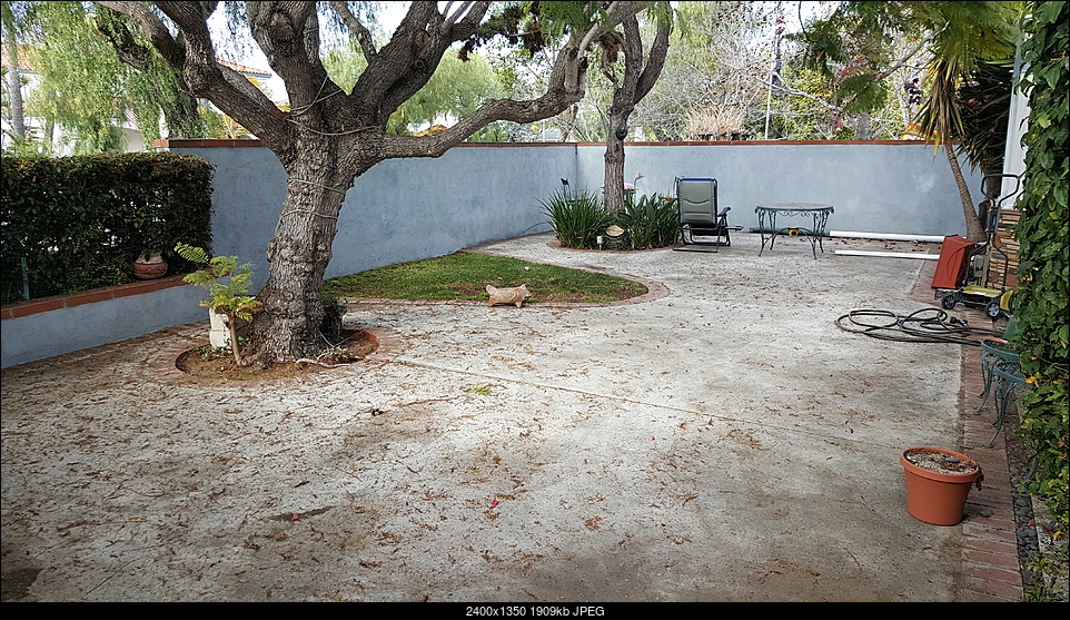 Click image for larger version. 

Name:	side yard.jpg 
Views:	93 
Size:	1.86 MB 
ID:	358538