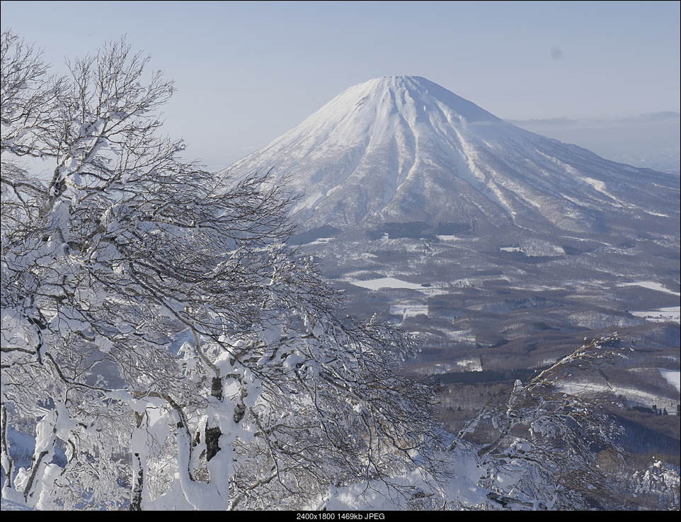 Click image for larger version. 

Name:	Mt. Yotei with frosty trees in foreground.jpg 
Views:	201 
Size:	1.44 MB 
ID:	244500