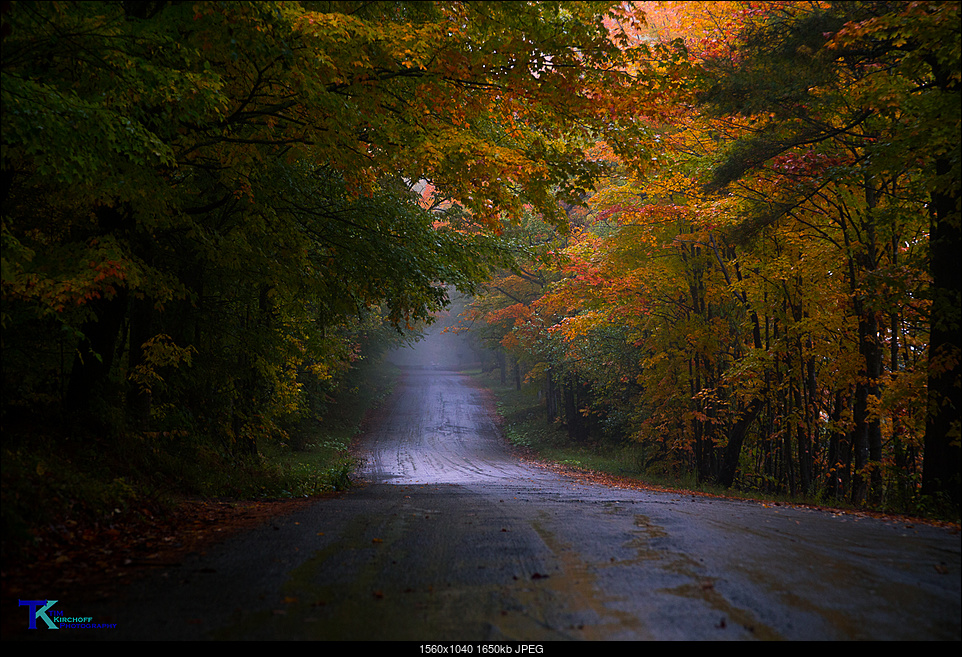 Click image for larger version. 

Name:	Rainy Fall Afternoon-3520.jpg 
Views:	94 
Size:	1.61 MB 
ID:	249624
