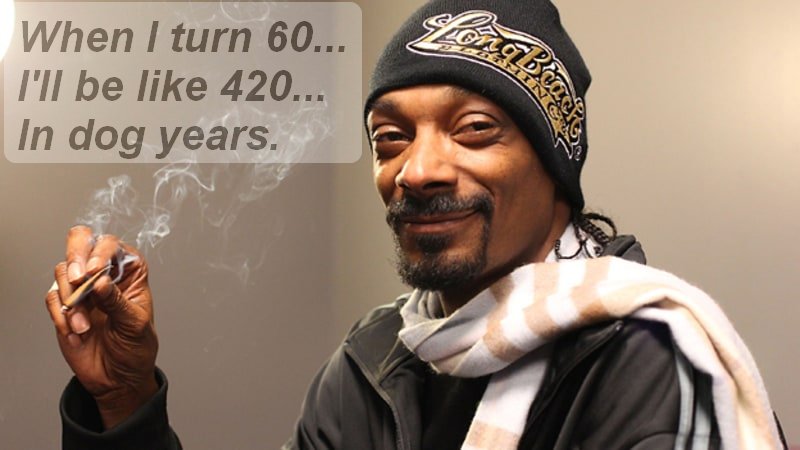 Name:  snoop.jpg
Views: 1564
Size:  51.7 KB