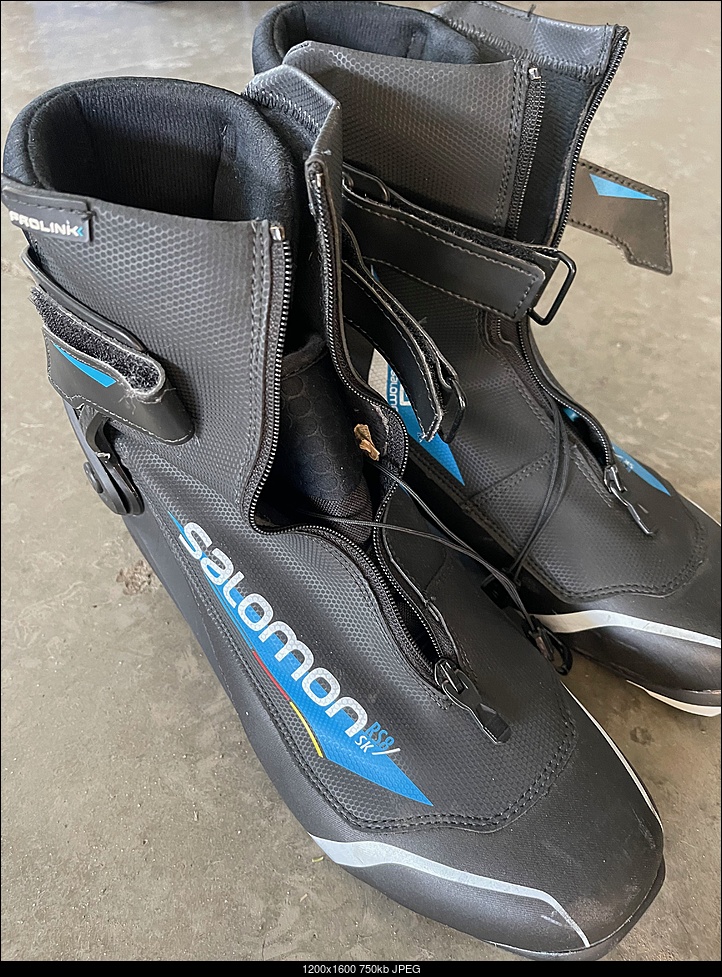 Click image for larger version. 

Name:	Salomon Skate IMG_8101.jpg 
Views:	25 
Size:	750.4 KB 
ID:	440490