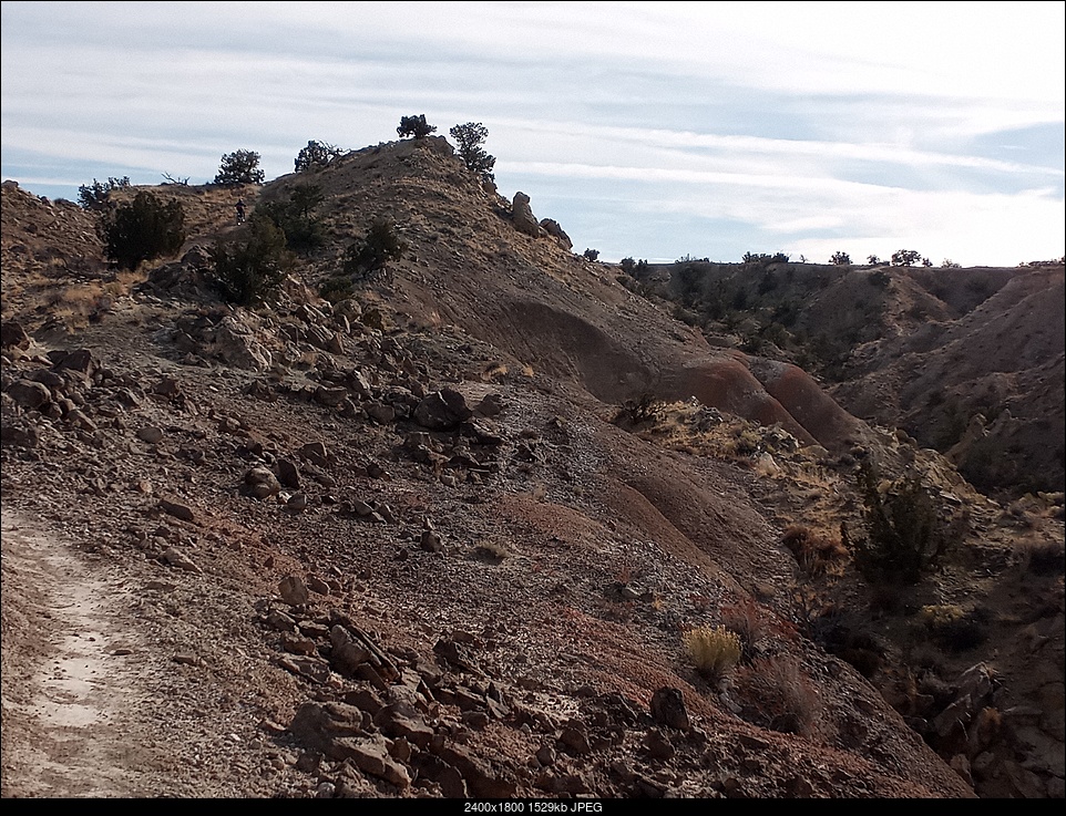 Click image for larger version. 

Name:	White Mesa13.jpg 
Views:	36 
Size:	1.49 MB 
ID:	446350