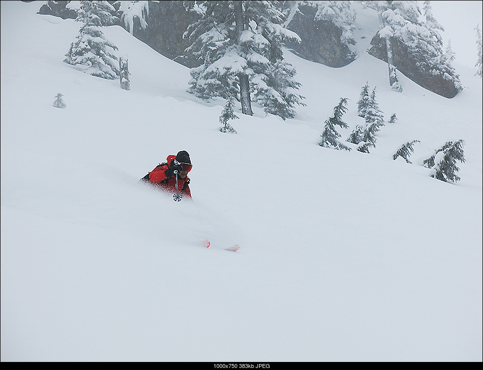 Click image for larger version. 

Name:	alpental033020_1328.jpg 
Views:	76 
Size:	383.2 KB 
ID:	323008