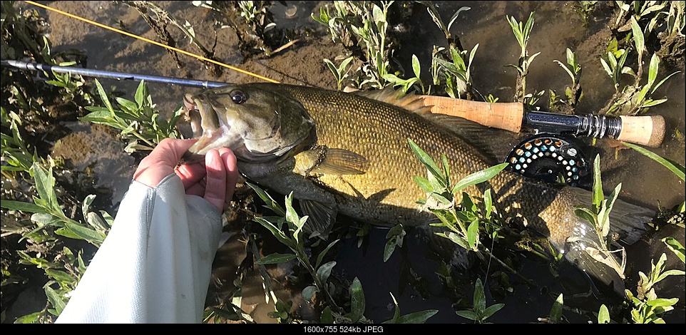 Click image for larger version. 

Name:	may 2020 mill smallie.jpg 
Views:	71 
Size:	523.7 KB 
ID:	328126