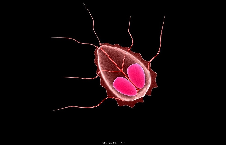 Click image for larger version. 

Name:	treat-giardia-naturally-during-pregnancy.jpg 
Views:	23 
Size:	29.6 KB 
ID:	380196