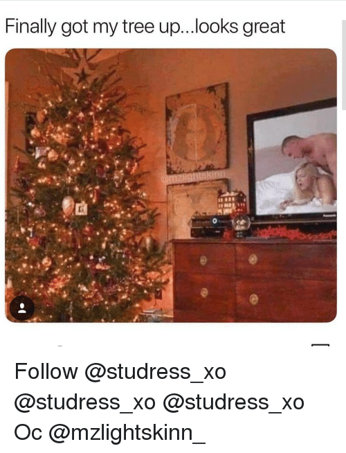 Name:  finally-got-my-tree-up-looks-great-follow-studress-xo-studress-xo-studress-xo-38356366.png
Views: 398
Size:  146.6 KB