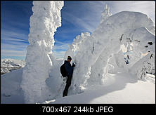 Click image for larger version. 

Name:	Snowbowl-2.jpg 
Views:	137 
Size:	243.6 KB 
ID:	107819