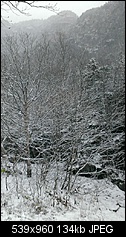 Click image for larger version. 

Name:	snowynotch.jpg 
Views:	147 
Size:	133.7 KB 
ID:	143229