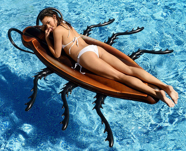 Name:  A-Giant-Inflatable-Cockroach-Pool-Float-1.jpg
Views: 641
Size:  186.5 KB