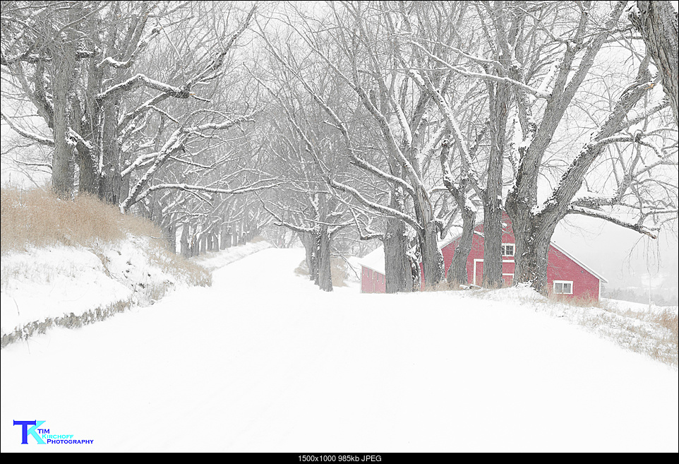 Click image for larger version. 

Name:	Darling Hill Rd Winter.jpg 
Views:	89 
Size:	985.0 KB 
ID:	218613