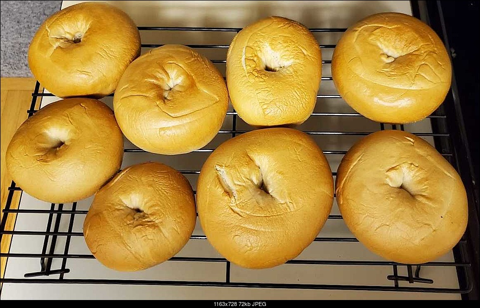 Click image for larger version. 

Name:	sourdough-bagels.jpg 
Views:	48 
Size:	71.7 KB 
ID:	327712