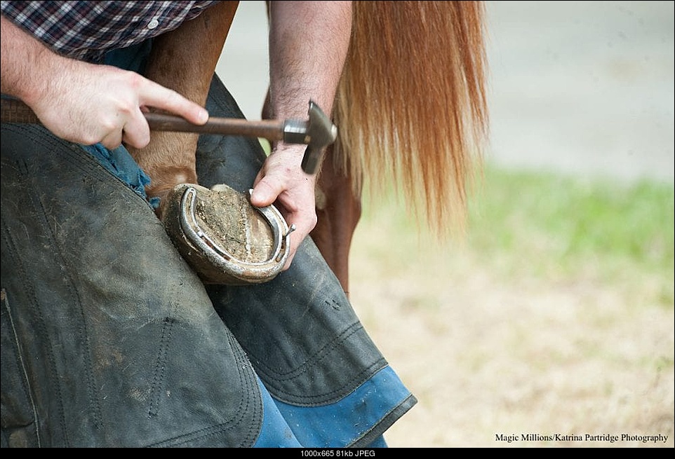 Click image for larger version. 

Name:	shoeing-farrier-lost-shoe-9.jpg 
Views:	54 
Size:	81.0 KB 
ID:	368017