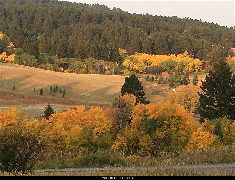 Click image for larger version. 

Name:	fall.jpg 
Views:	71 
Size:	1.05 MB 
ID:	387081