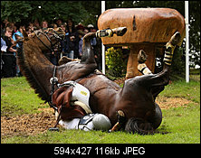 Click image for larger version. 

Name:	Burghley+Horse+Trials+dr1L-_u1VJVl.jpg 
Views:	36 
Size:	115.6 KB 
ID:	97029