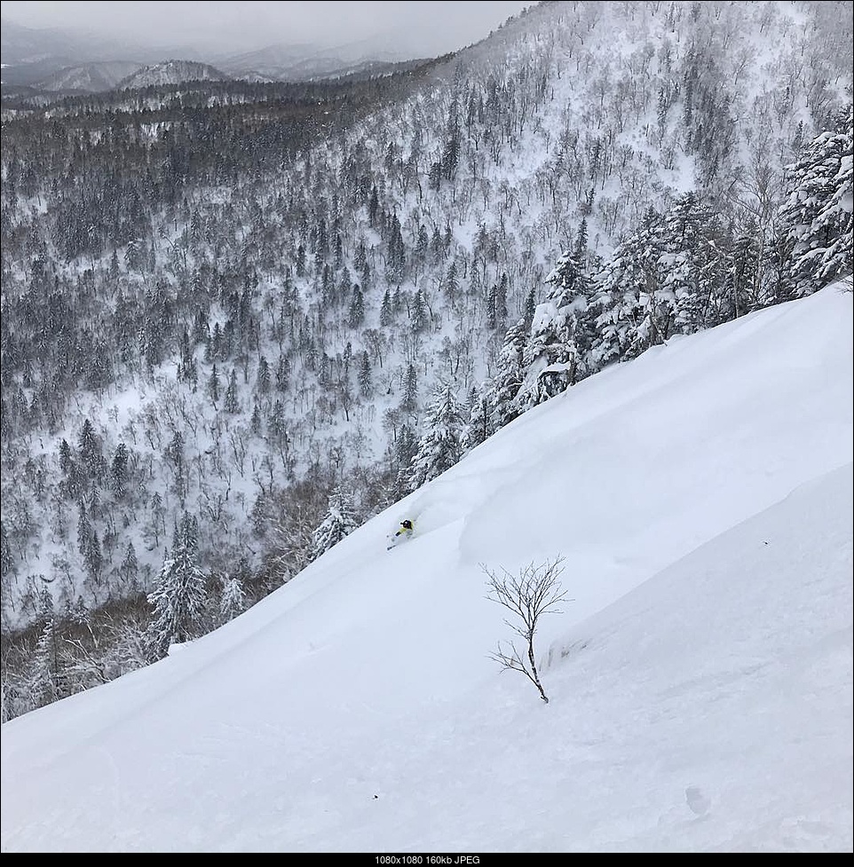 Click image for larger version. 

Name:	Furano skiing.jpg 
Views:	129 
Size:	160.0 KB 
ID:	279944