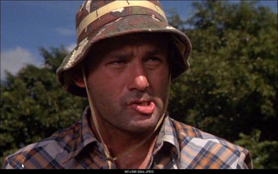 Click image for larger version. 

Name:	Bill-Murray-Caddyshack-Carl-Spackler-In-the-Hole.jpg 
Views:	84 
Size:	92.2 KB 
ID:	288297