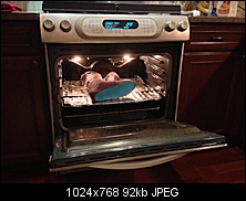 Click image for larger version. 

Name:	baking (Medium).JPG 
Views:	389 
Size:	92.5 KB 
ID:	133244