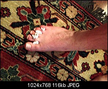 Click image for larger version. 

Name:	toes (Medium).JPG 
Views:	290 
Size:	115.9 KB 
ID:	133246