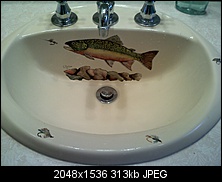 Click image for larger version. 

Name:	sink.jpg 
Views:	262 
Size:	312.8 KB 
ID:	135345