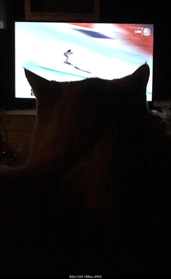 Click image for larger version. 

Name:	Cheetos watching skiing.jpg 
Views:	89 
Size:	198.2 KB 
ID:	224489