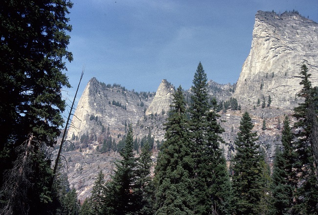 Name:  flathead shoshone nez perce.jpg
Views: 385
Size:  160.2 KB