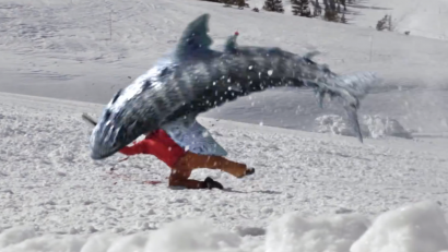 Name:  snowshark.breaches.png
Views: 682
Size:  155.8 KB