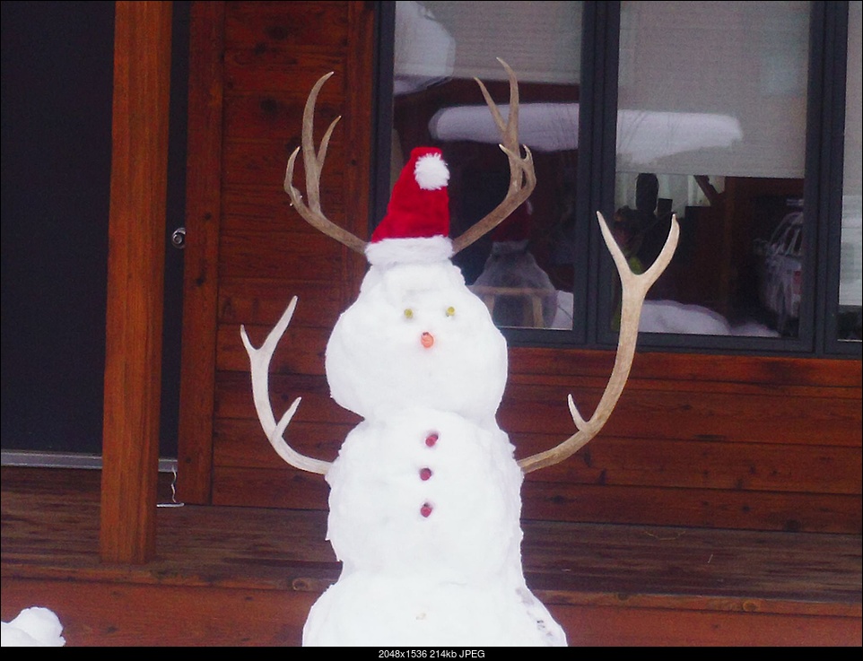 Click image for larger version. 

Name:	neighbors snowman.jpg 
Views:	146 
Size:	214.4 KB 
ID:	307552