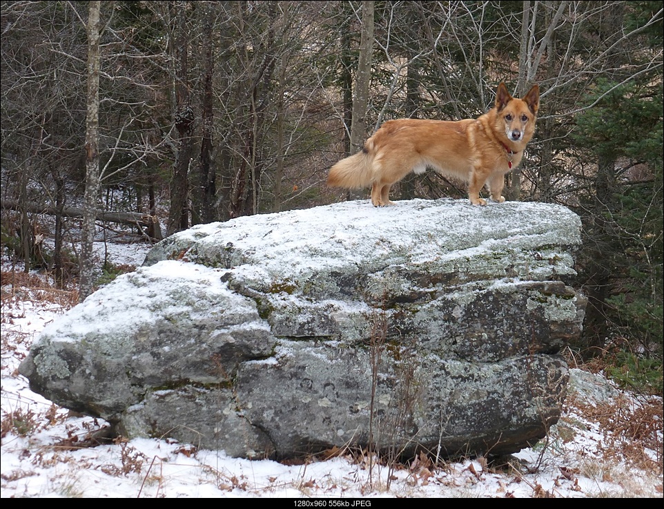 Click image for larger version. 

Name:	utah on his rock.jpg 
Views:	56 
Size:	555.5 KB 
ID:	388393