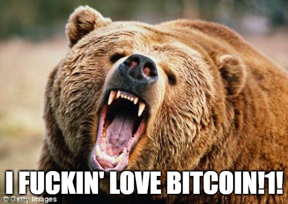 Name:  bitcoin-bear1.jpg
Views: 299
Size:  73.2 KB