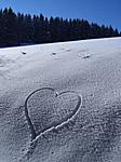 snow heart