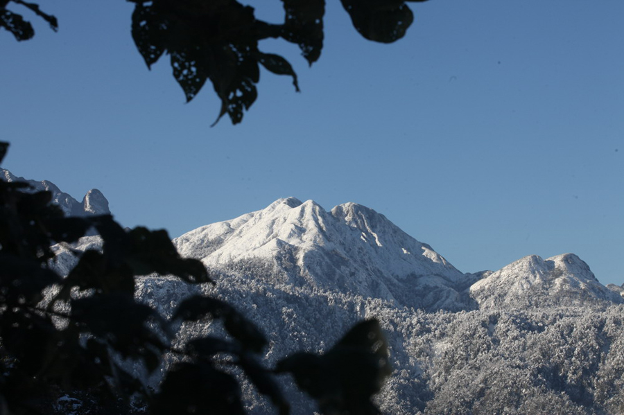 Name:  The-terraces-the-artificial-wonders-of-Sa-Pa-became-snow-terraces-the-first-time-in-over-50-year.jpg
Views: 1247
Size:  304.9 KB